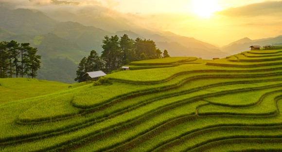Tips To Plan A Perfect Trip To Vietnam