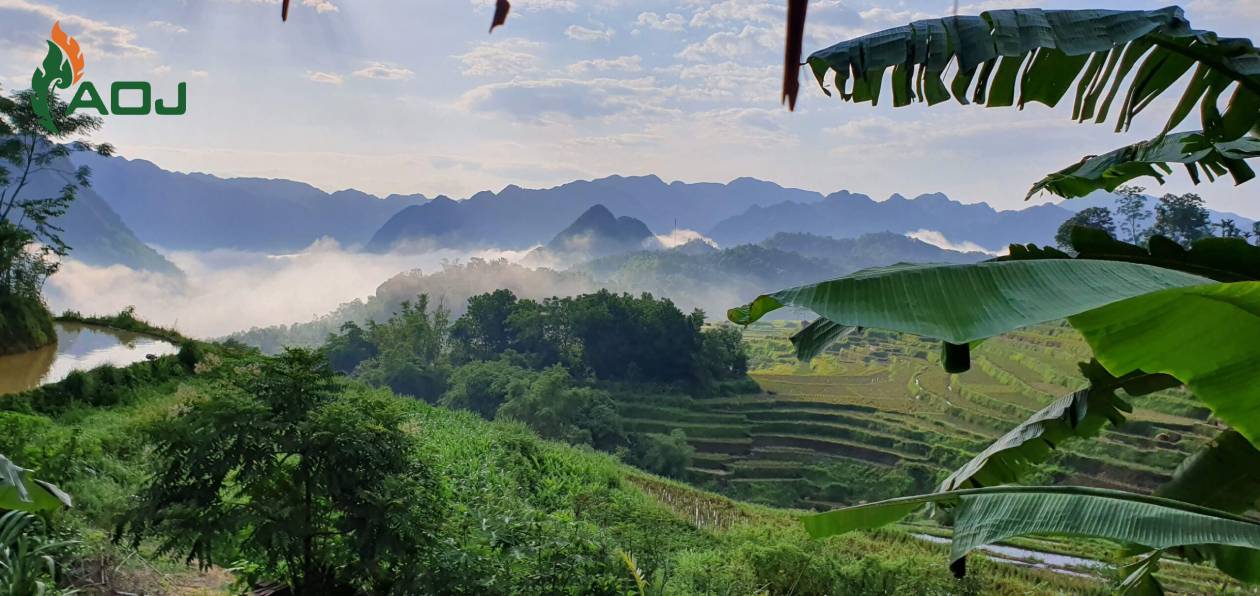 5 Amazing places in Vietnam for family