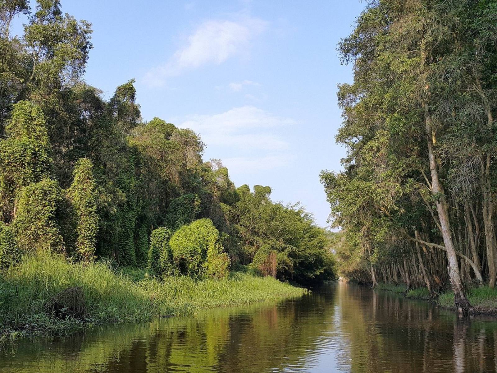 5 Greatest Ecotourism Destinations in Mekong Delta