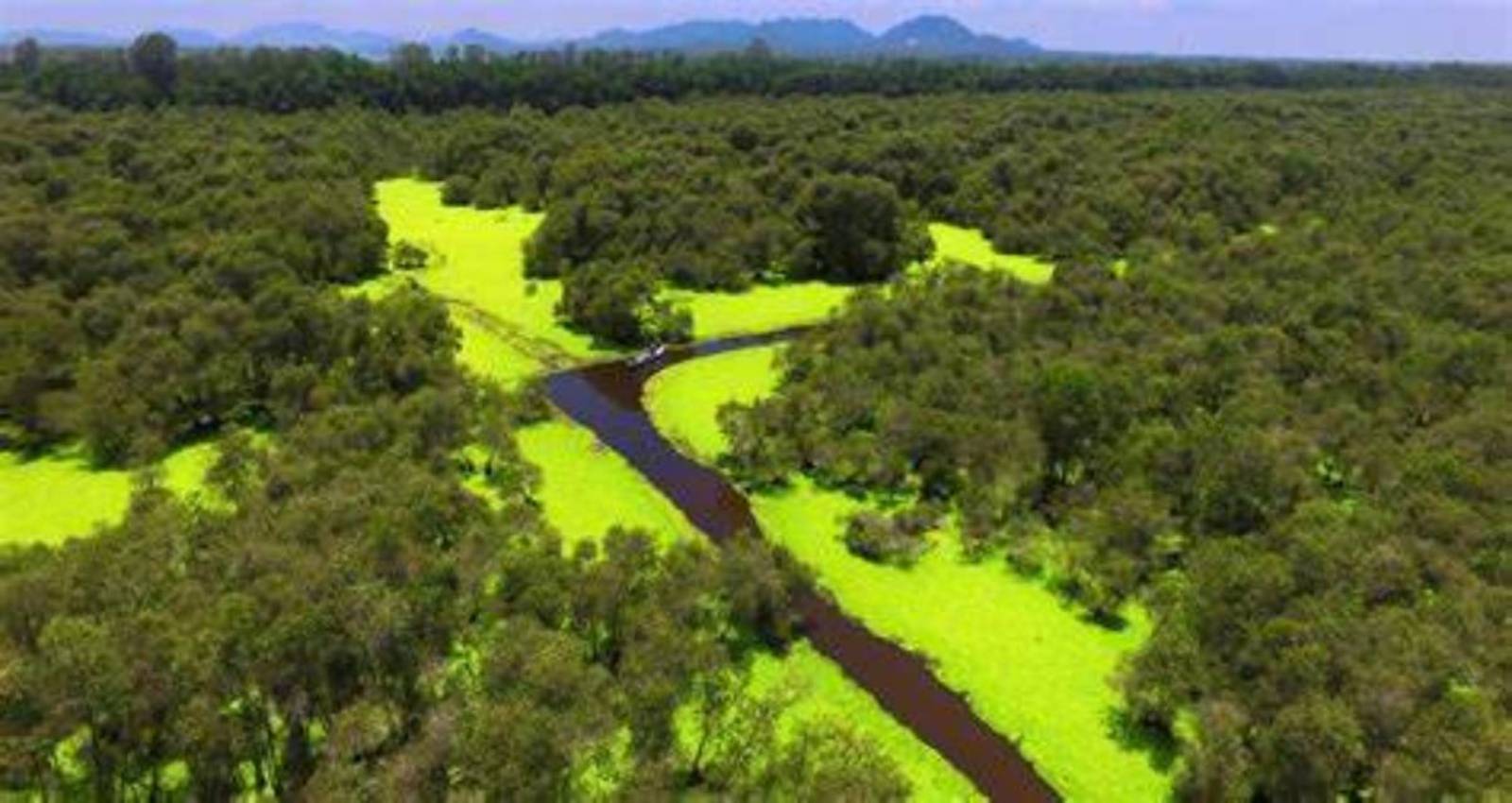 5 Greatest Ecotourism Destinations in Mekong Delta