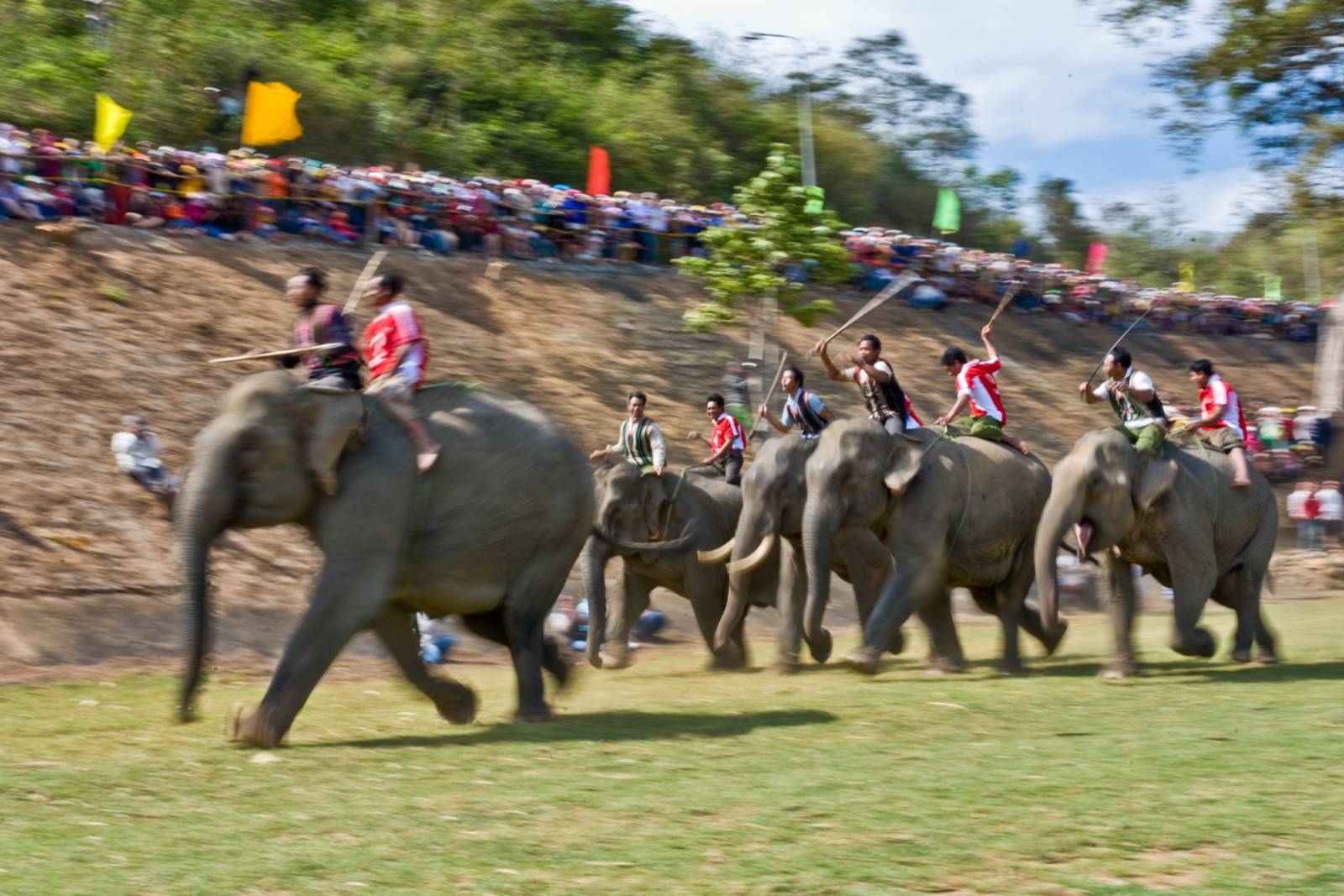 The Elephant Racing Festival In Daklak