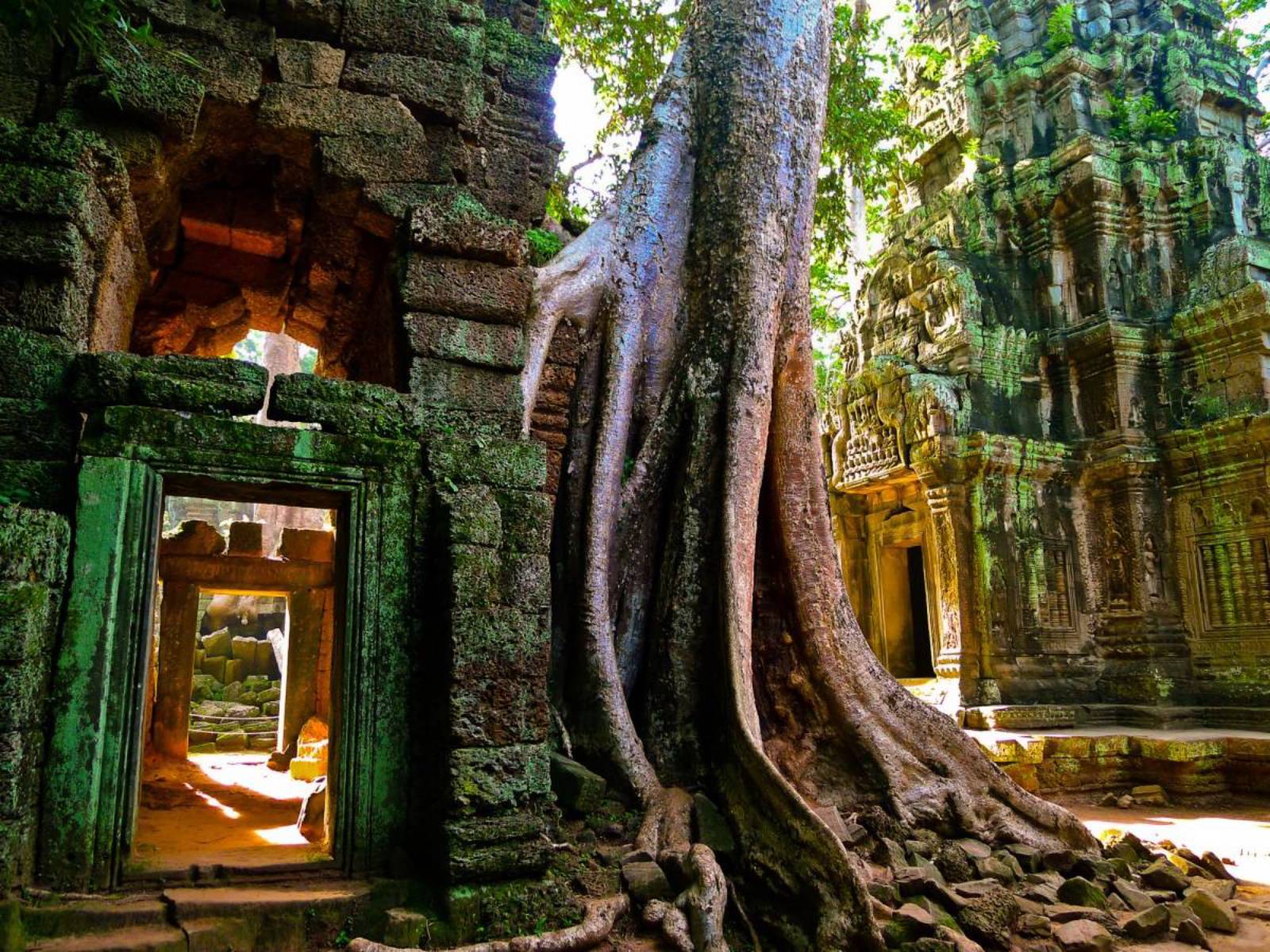 Ta Prohm, Siem Reap- Tour Packages and Vacation | AOJourneys