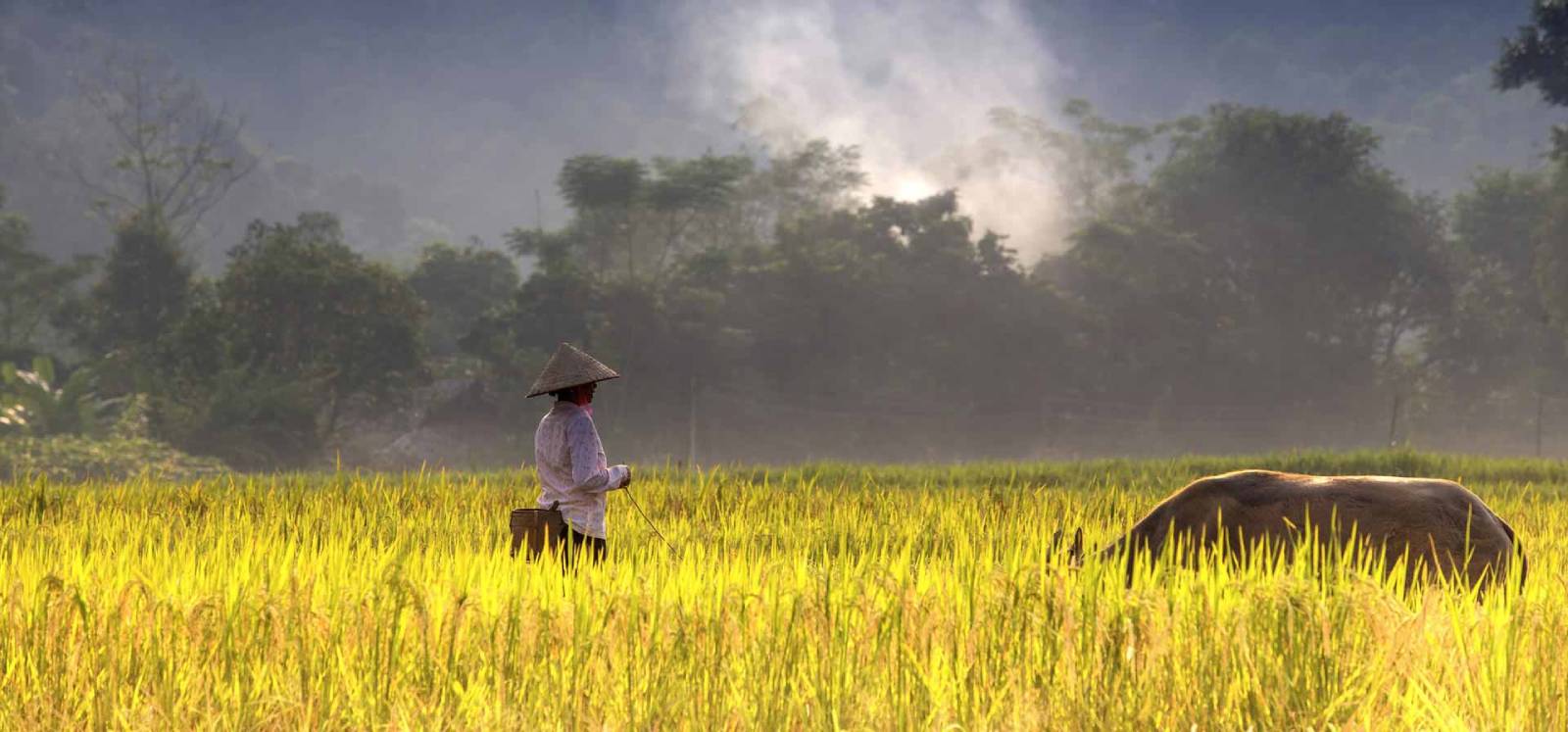 Vietnam Tour Packages From USA | Ancient Orient Journeys