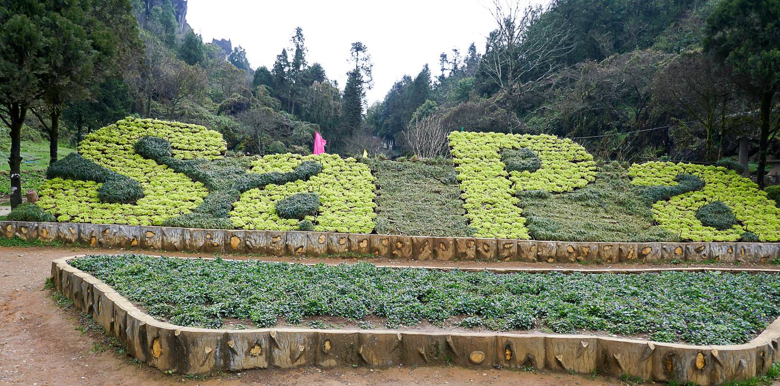 Top 10 Things To Do In Sapa