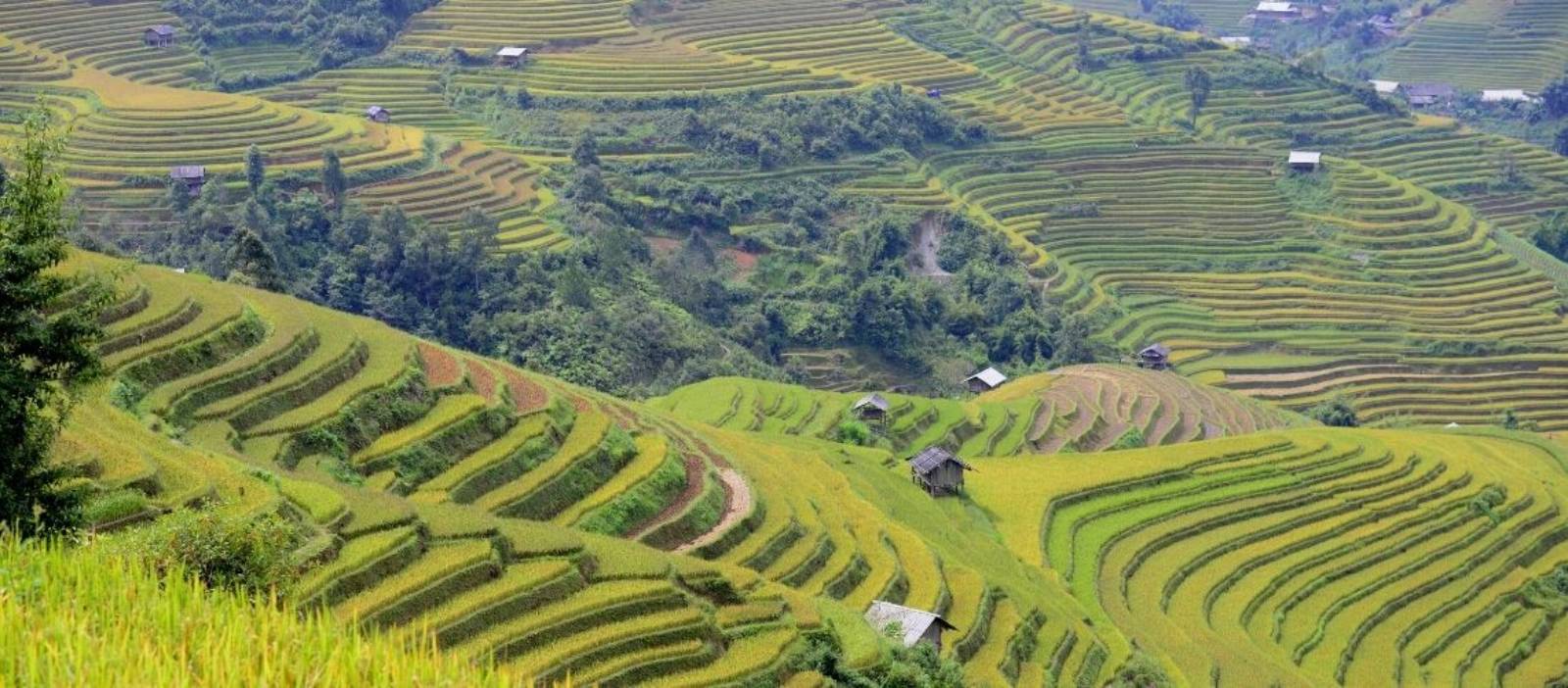 Top 10 Things To Do In Mu Cang Chai