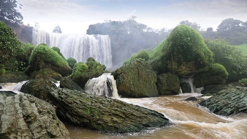 Elephant and Pongour waterfall