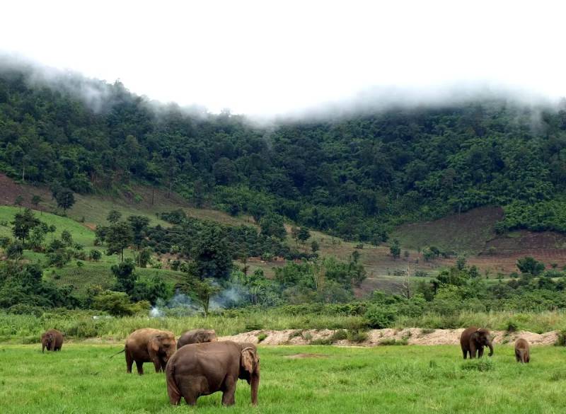 Mondulkiri in Cambodia in December | Ancient Orient Journeys