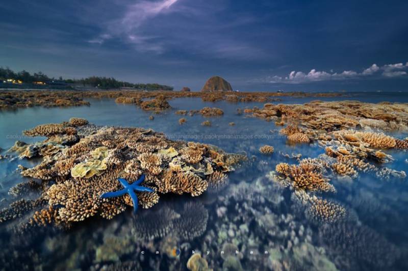 Hon Yen Island – An Ideal Place To Explore Stunning Corals - Tour Packages and Vacation | Ancient Orient Journeys