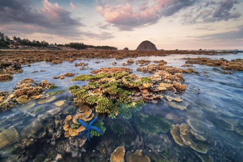 Hon Yen Island – An Ideal Place To Explore Stunning Corals - Tour Packages and Vacation | Ancient Orient Journeys