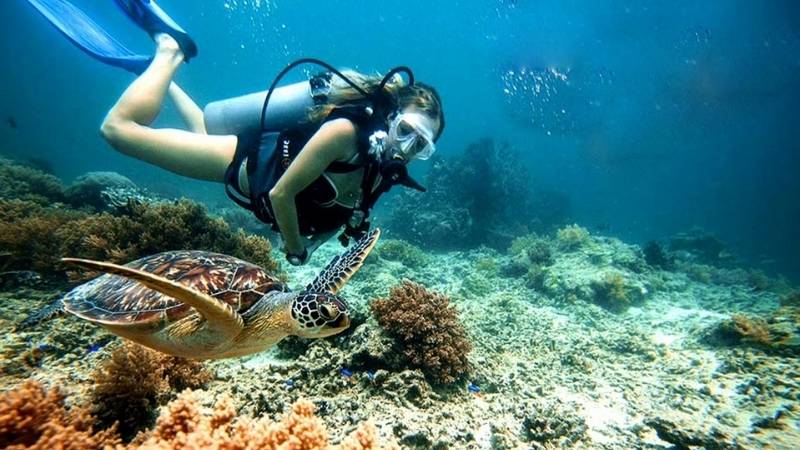 Scuba diving in Hoi An