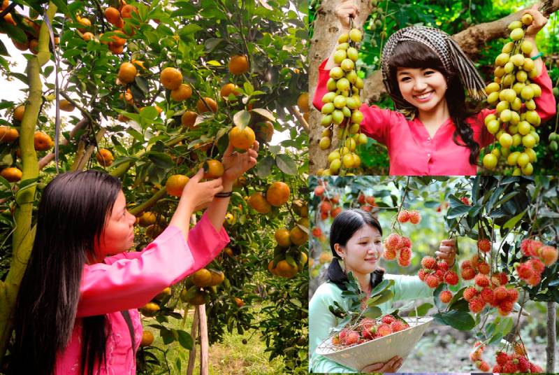 Tropical fruits | Ancient Orient Journeys