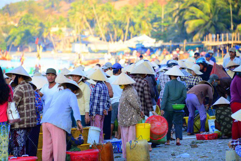 Visit the early morning fish market  - Mui Ne and Phan Thiet Tours