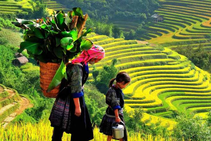 Vietnam Honeymoons | Ancient Orient Journeys