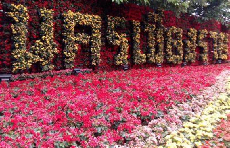 Chiang Rai Flower Festival | Ancient Orient Journeys