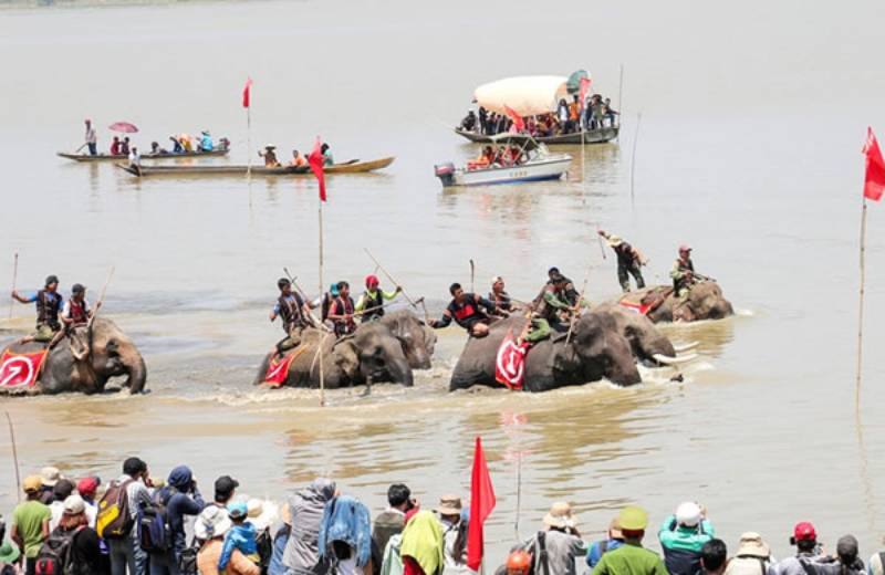 Elephant racing festival