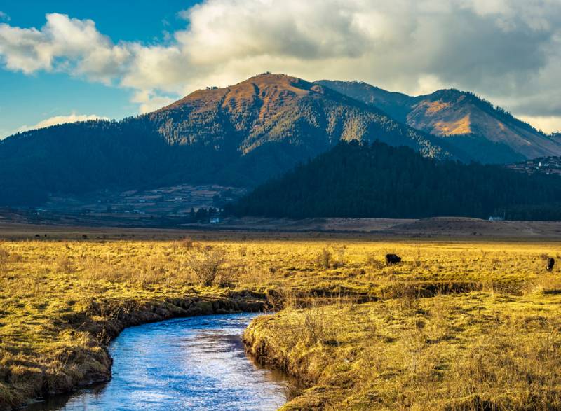 Phobjikha Valley – Land of Black-Necked Cranes| Ancient Orient Journeys