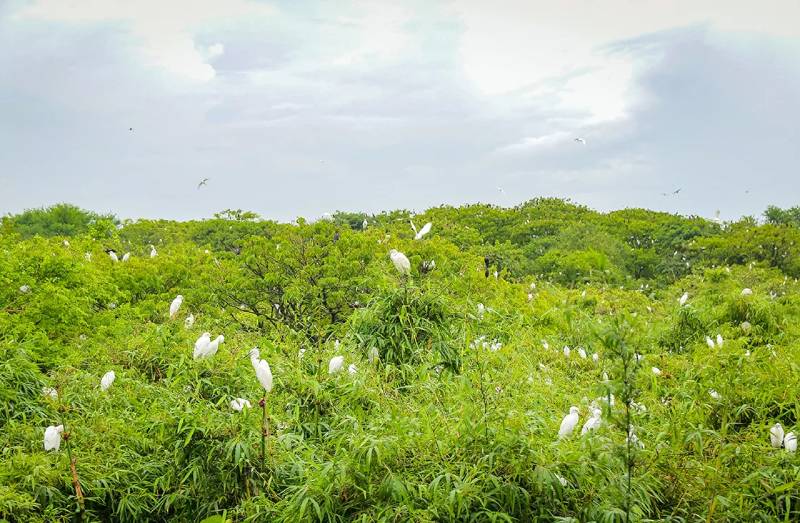 Mekong Delta Tours | Ancient Orient Journeys