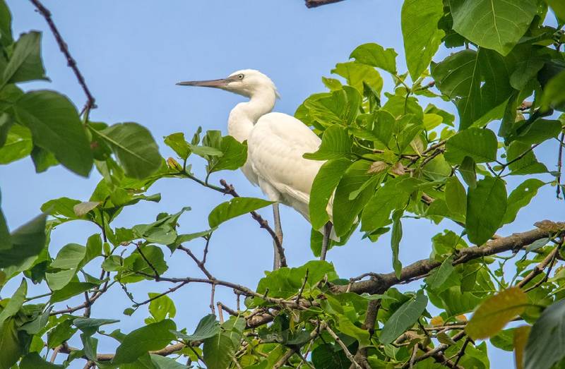 Mekong Delta Tours | Ancient Orient Journeys