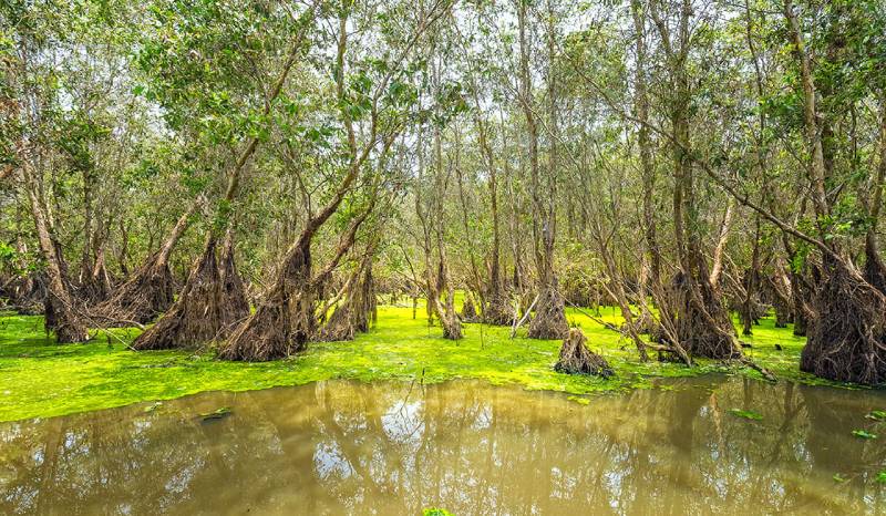 Mekong Delta Tours 2024| Ancient Orient Journeys