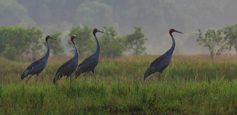 Mekong Delta Tours | Ancient Orient Journeys