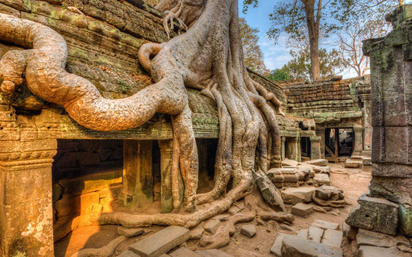Highlights of Cambodia  8 Days / 7 Nights