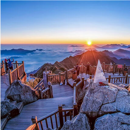 Sapa