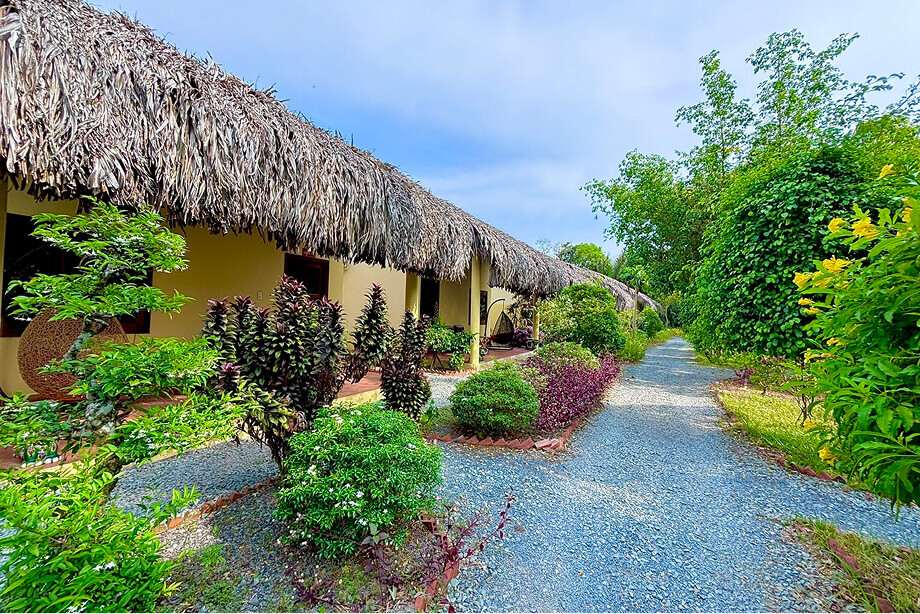 Mango Home Ben Tre