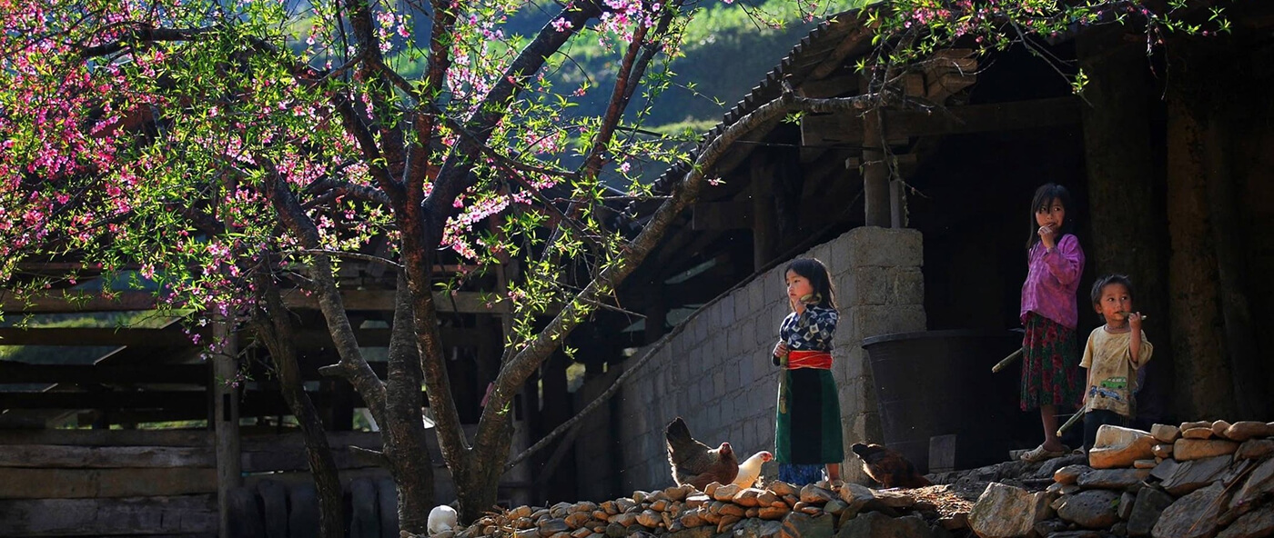 Vietnam