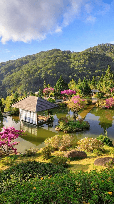 Vietnam