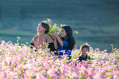 Vietnam