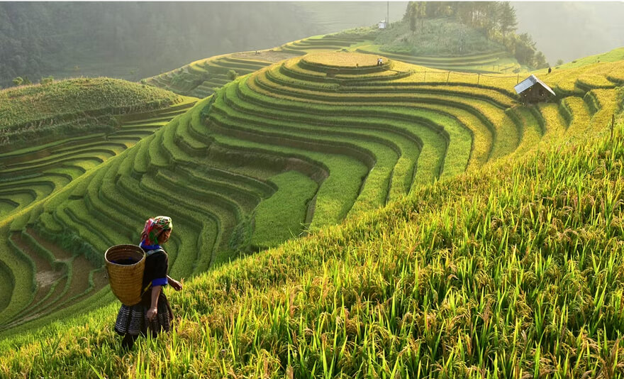 Rough Guides names six must-visit places in Việt Nam