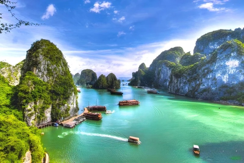 Vietnam Tours
