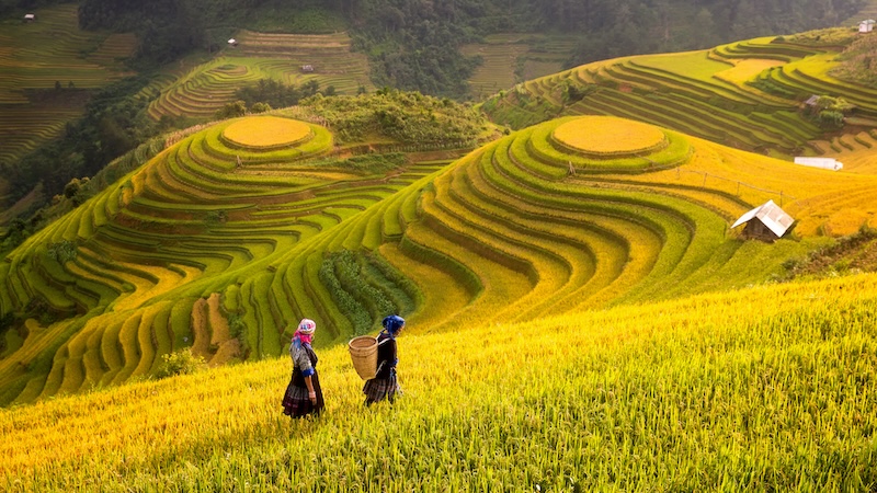 7-Day Northern Vietnam Tour