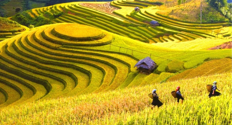 Best Vietnam Family Tours for Memorable Holidays