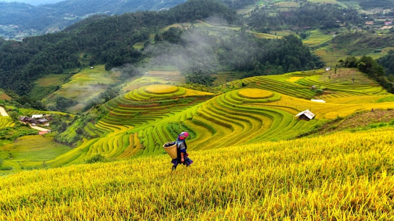 15-Day Vietnam Highlights Itinerary