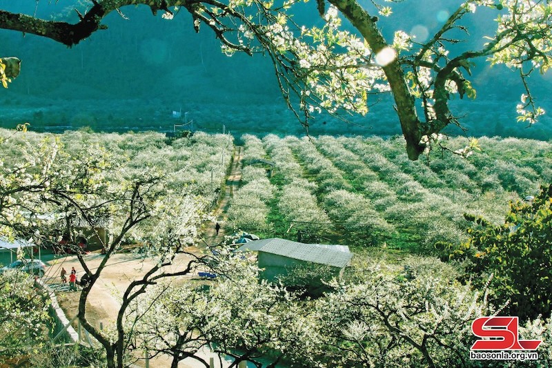 North Vietnam Tours