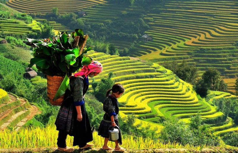 Sapa Tours