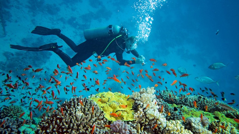 Vietnam Beach Vacations