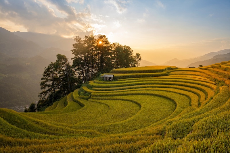 Mu Cang Chai